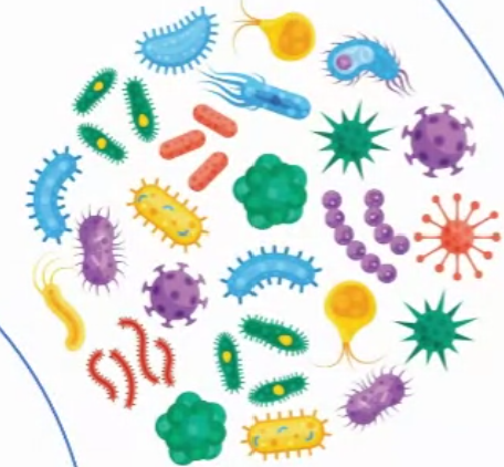 Atto 680 RNA Labeling kit