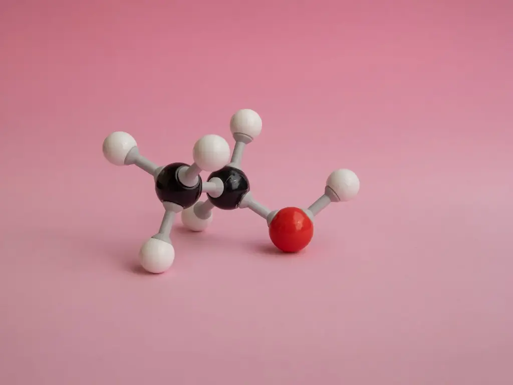 T4 Polynucleotide Kinase